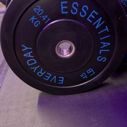 Weight Plates - Bumper 45lbs Pair