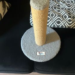 Cat Toys 