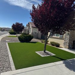 Artificial Grass