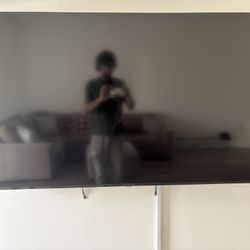 65” Insignia Fire TV