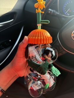 Snoopy Starbucks Cup LE