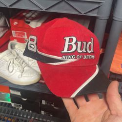 Dale Earnhardt Jr King Of Beers Hat