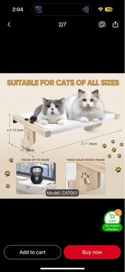 Cat bed window