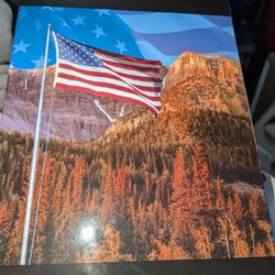 America States & Territory Coins Album 