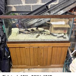 Big big fish tank