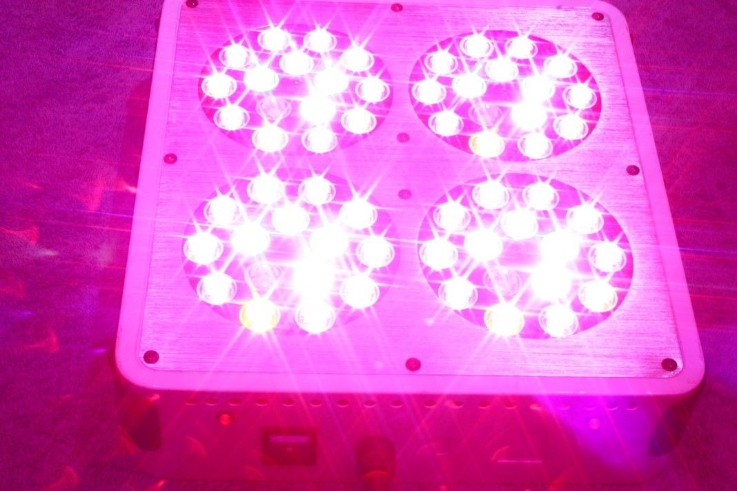 Advanced Spectrum MAX LED Grow Light