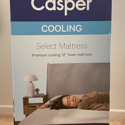 New Queen-Sized Mattress 