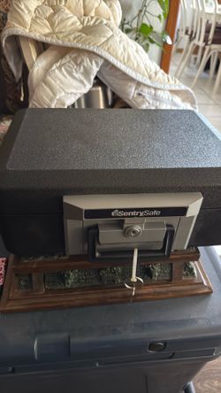 Gun safe