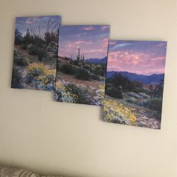 3 Wall Decor Canvas 