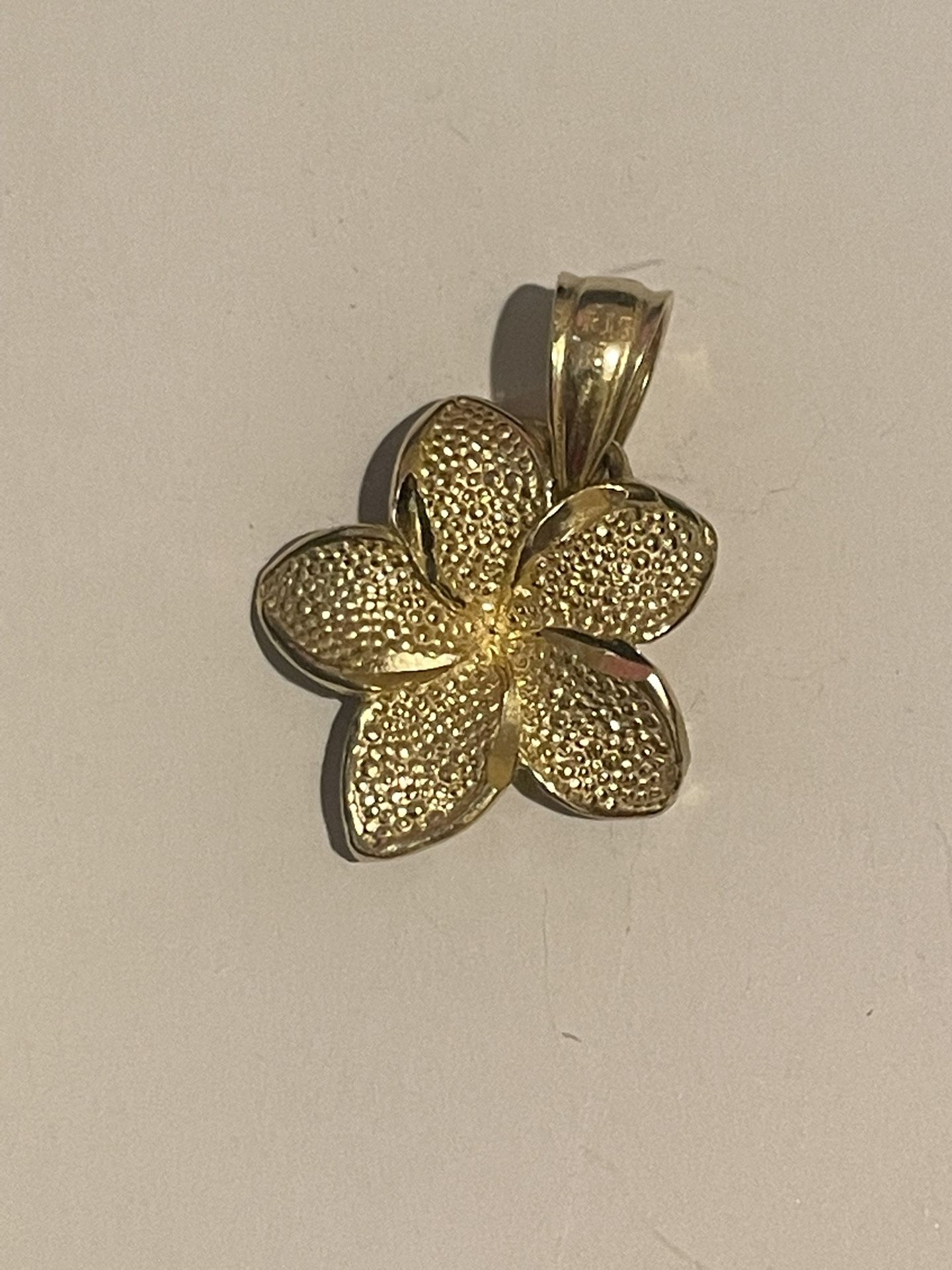 Hibiscus Gold Flower 14k πΊ