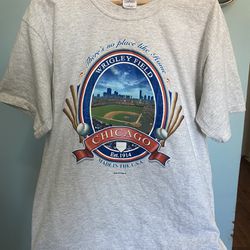 Vintage Chicago Cubs Wrigley Field Men's T-Shirt Size L Gray 2002 Baseball MLB
