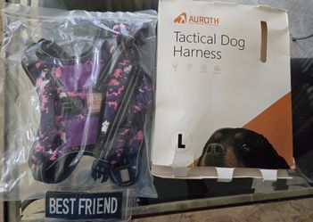 Auroth tactical