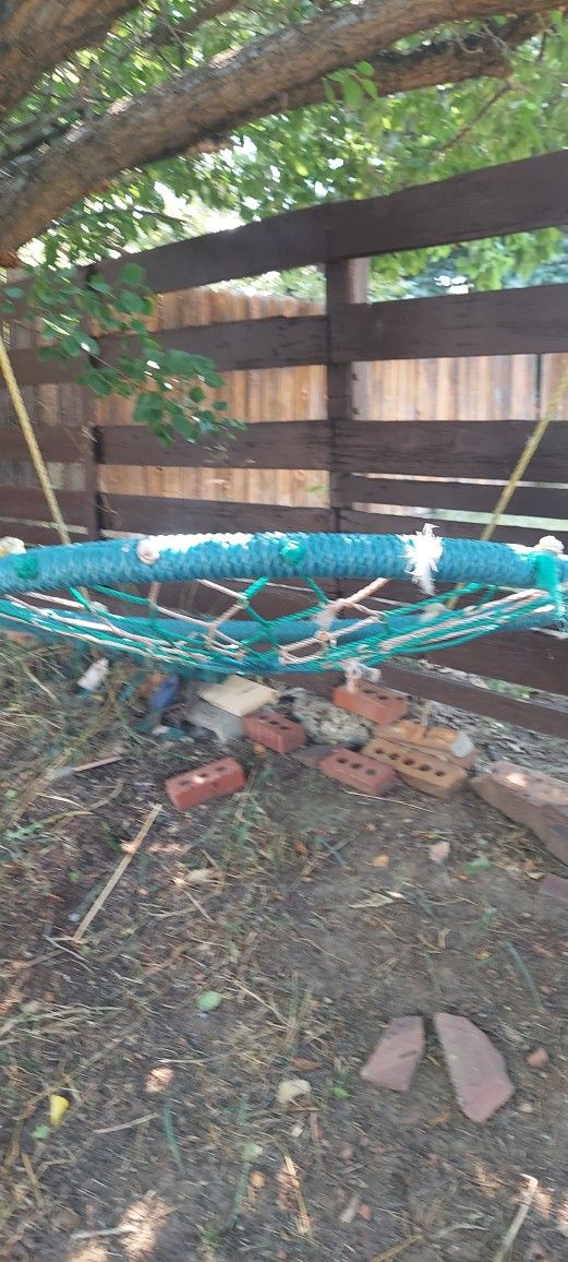 Tree Swing
