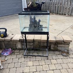 Fish Tank 
