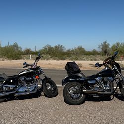 2018 Sportster 1200 Custom