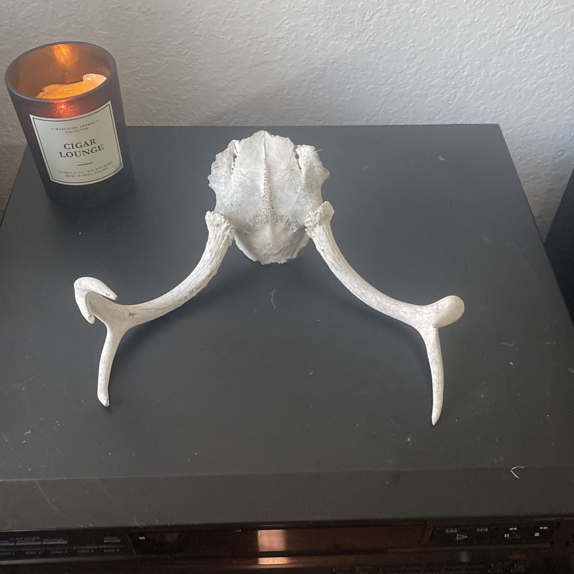 Antlers Wall Hanger