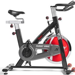 Sunny Exercise Bike