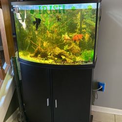 36 Gallon Fish Tank With Stand (fish Not Included)