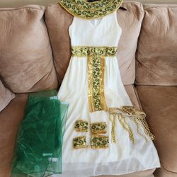 Cleopatra Girls Halloween Costume, Size Large (12 -14)