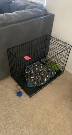 Dog kennel