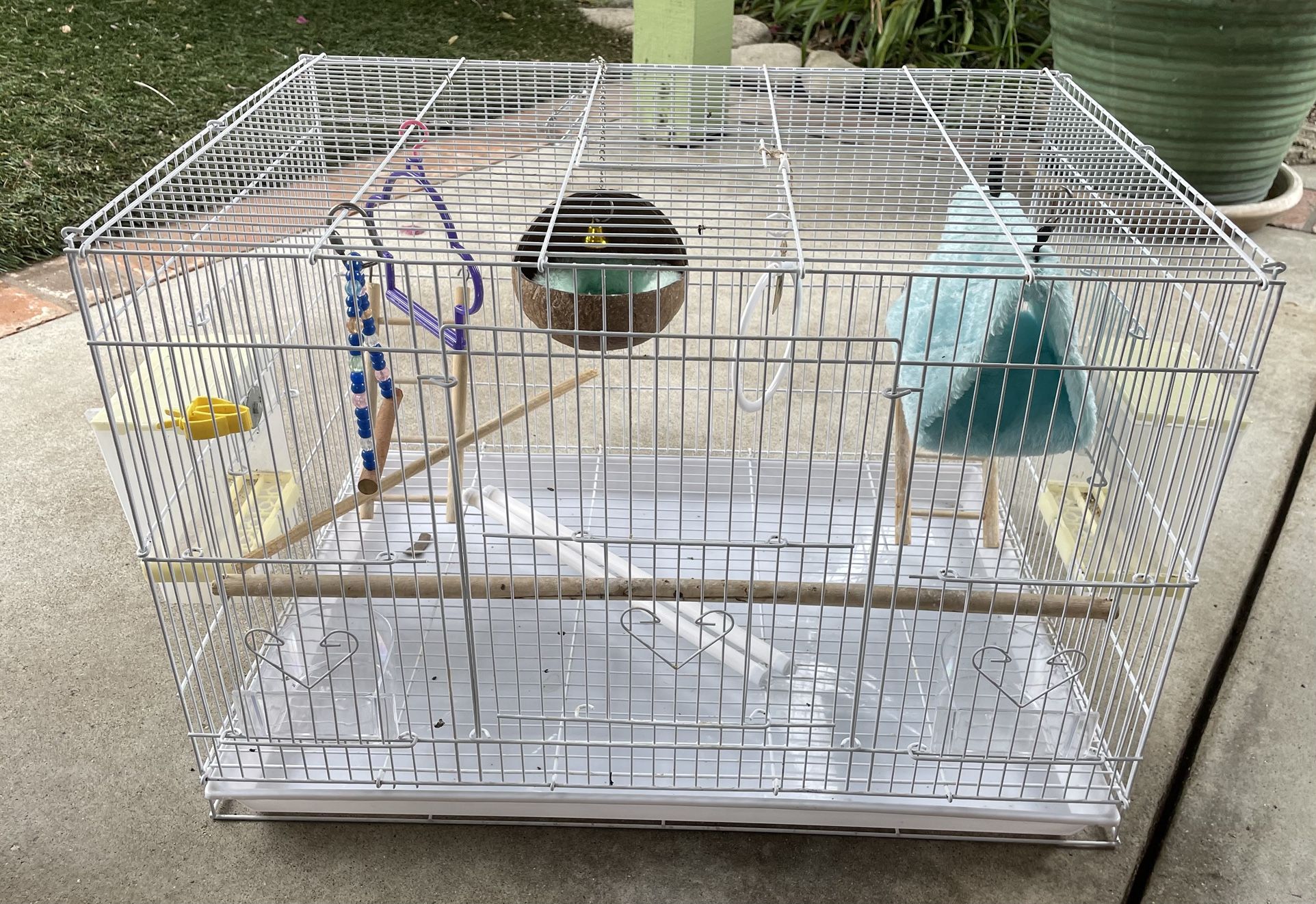 Miscellaneous Items For Birds