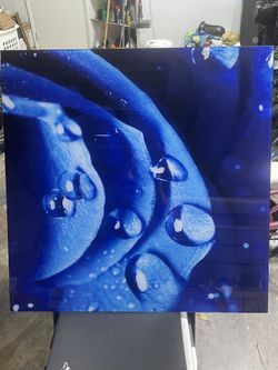 Acrylic wall Art