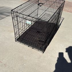 Dog Kennel/ Carrier / Crate 36” Long By 24” Wide. 