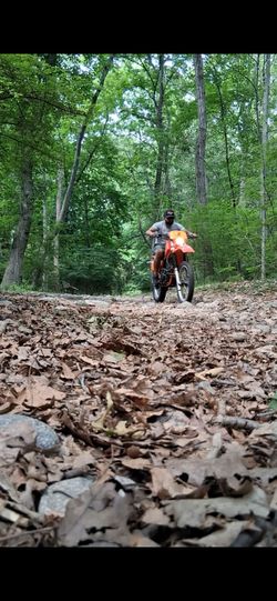 1984 Honda XR500