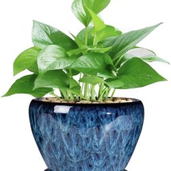 Ceramic Modern Glaze Succulent Planter Pot with Drainage Hole and Saucer 6 Inch Round Flower Plant Pot for Indoor Outdoor Herb Snake Plants