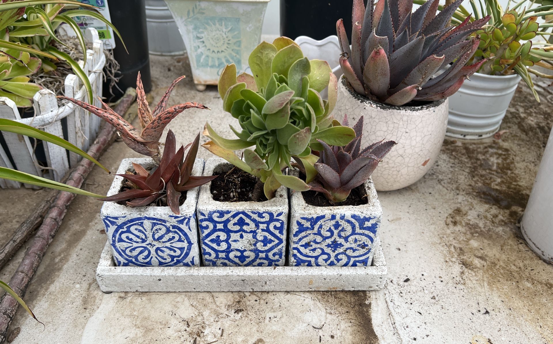 Ceramic Pots Triple Set Of Succulents