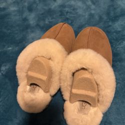 UGG Slippers ( Disquette ) 