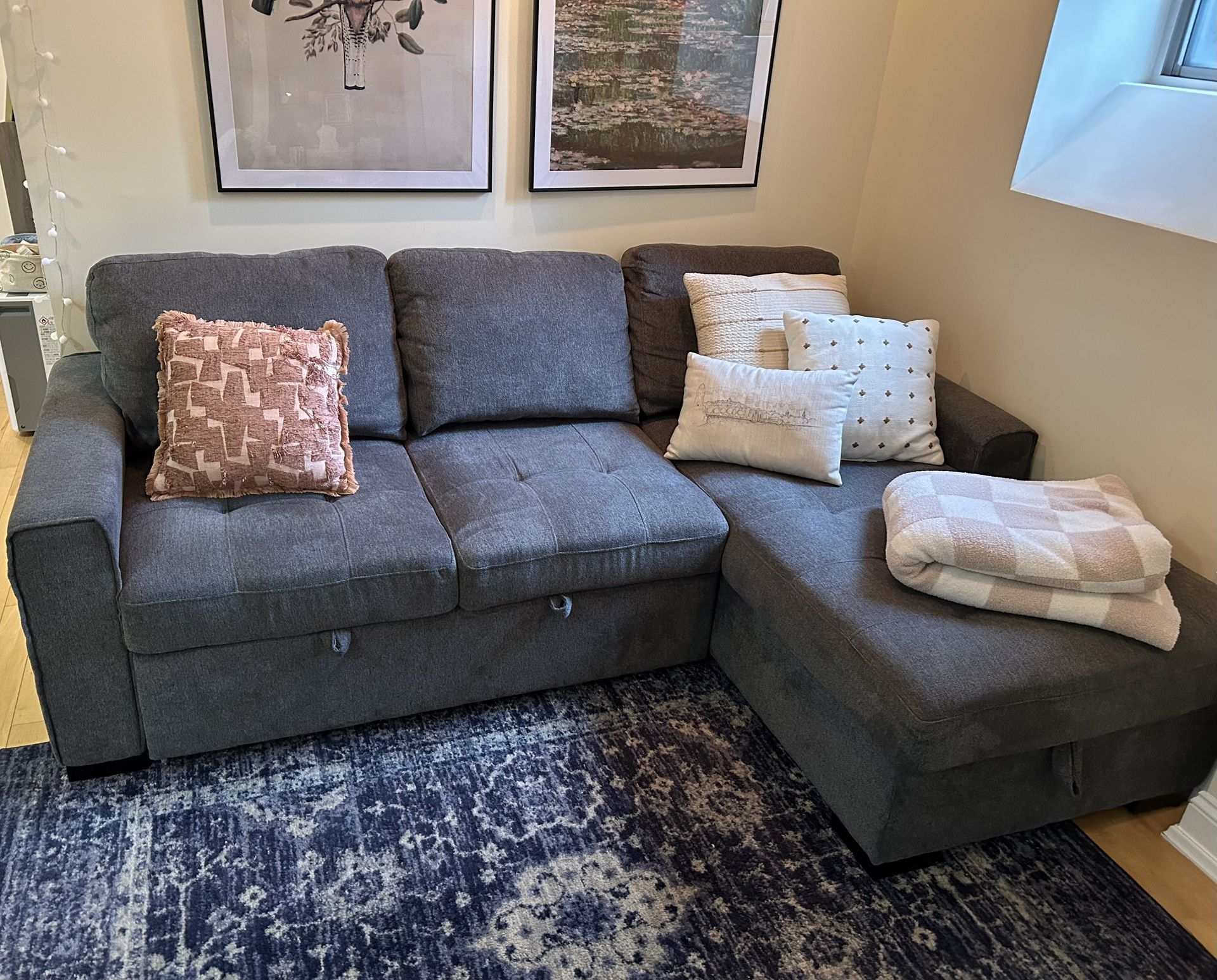 Kendale Sleeper Sofa w/ Storage Chaise