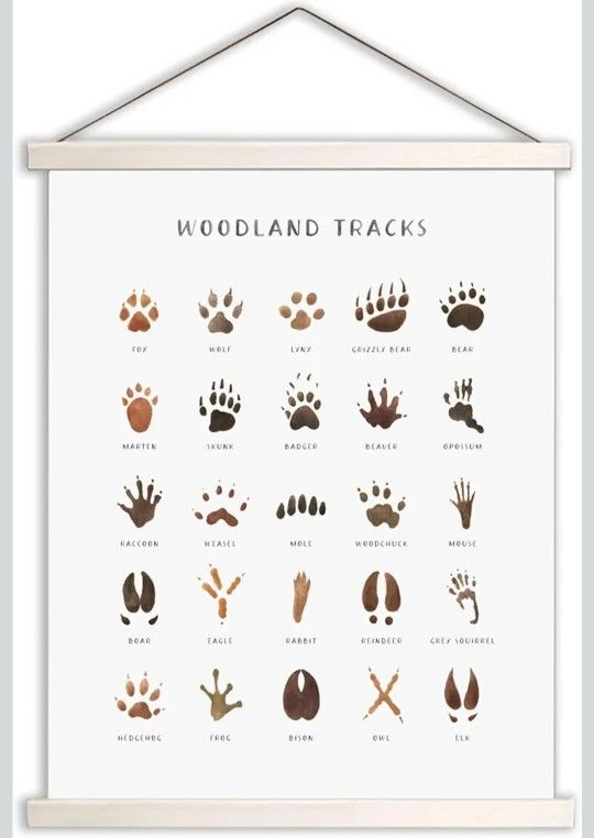 Fcimu Woodland Tracks Hanging Poster, Canvas Artwork - Forest Animal Tracks Field Guide Sign, Boy & Jungle Nursery Wall Decor - 16x20 Inch 1
