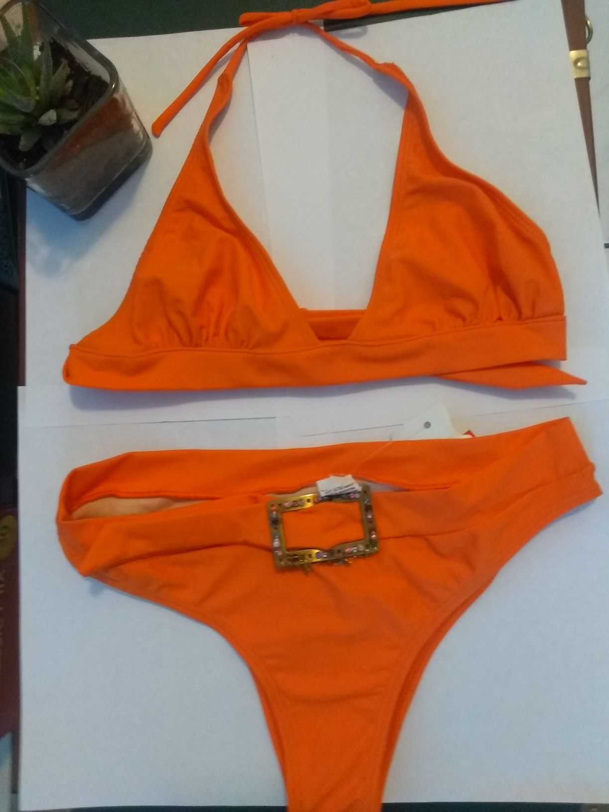 bikini