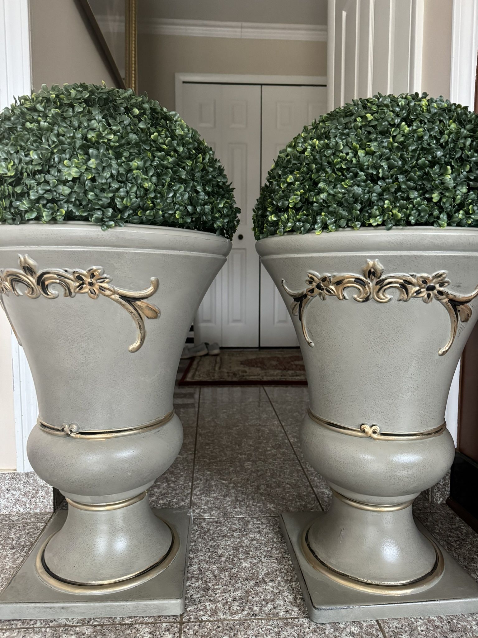 Beautiful gorgeous plants with the beautiful vase, indoor and outdoor for both