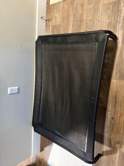 Elevated mesh dog bed