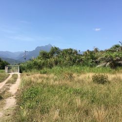 Beach View Lot In Central America Trade