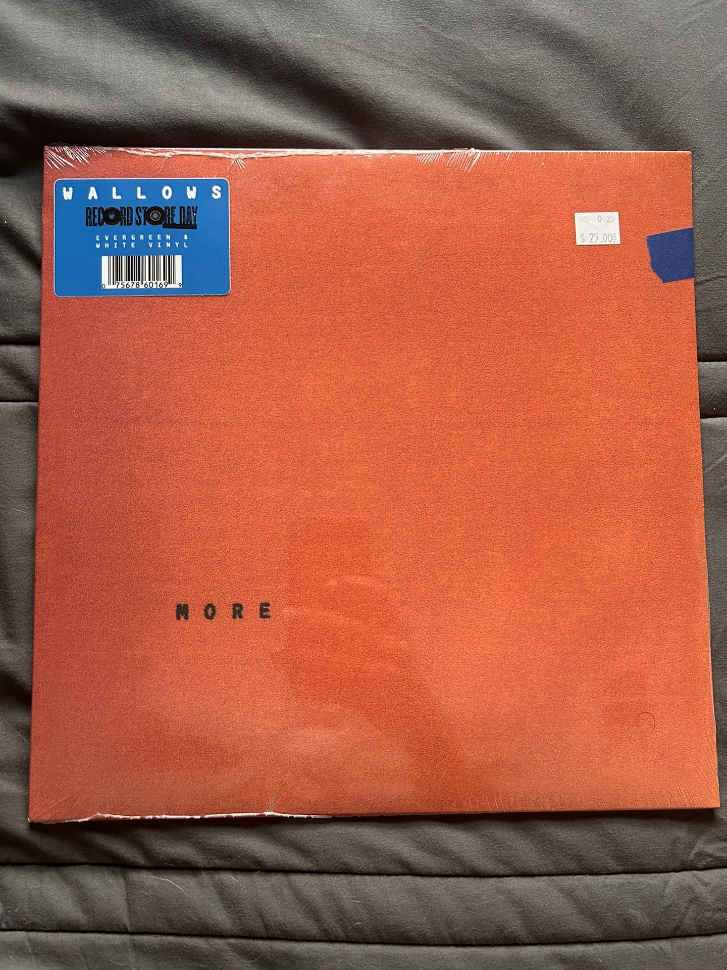 WALLOWS “MORE” Record Store Day 2025