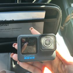 Go Pro 10 with Chesty