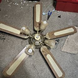 Ceiling Fans