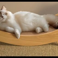 New Cat Hammock/ Scratching Post