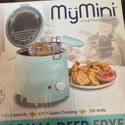 Deep Fryer 