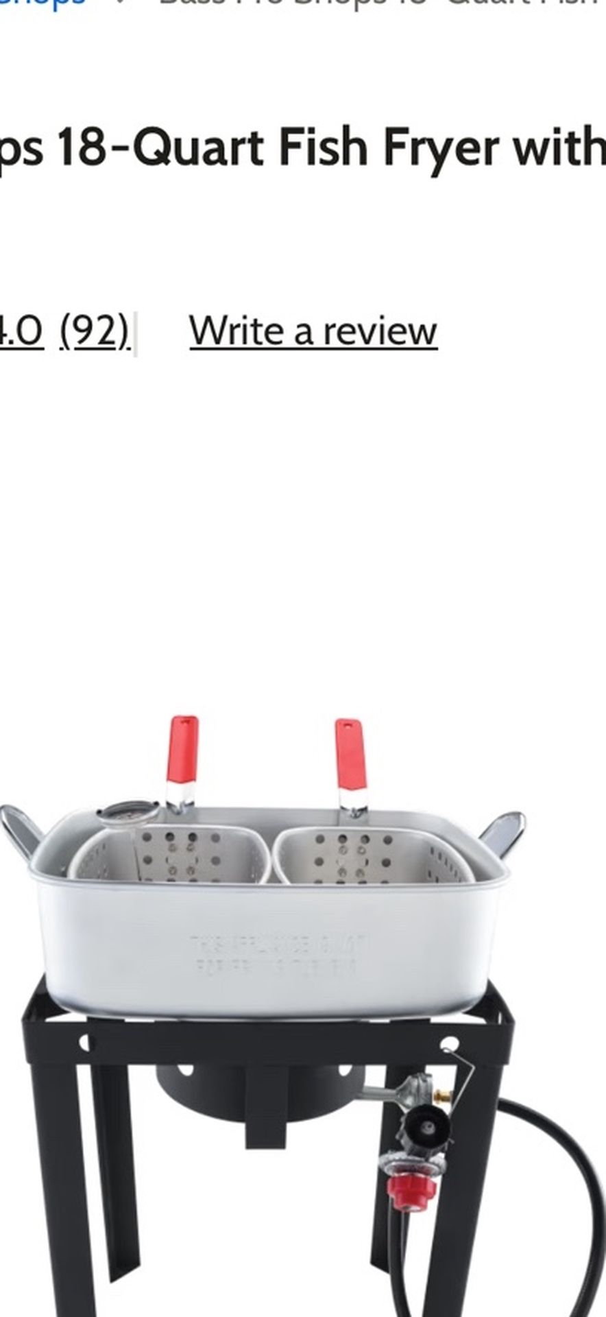 Bass Pro Fish Fryer