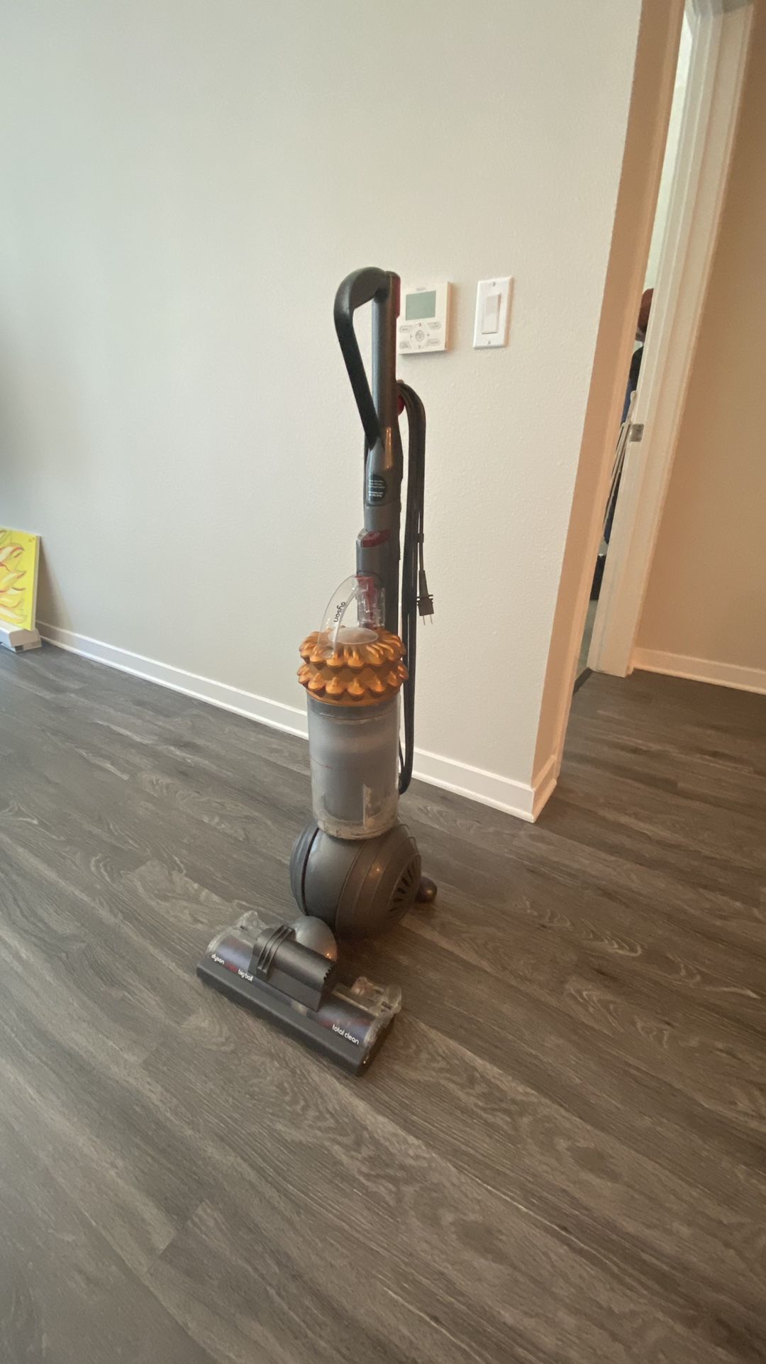 Dyson cinetic Big Ball Total Clean