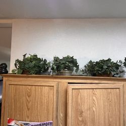 3 Artificial Green Plants