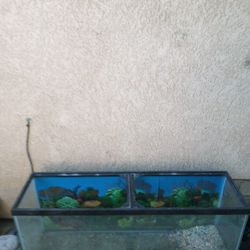 Large Fish Aquarium  $40 OBO
