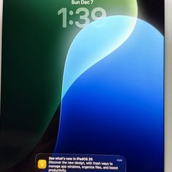 iPad Mini 5th Gen 256GB