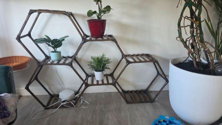 Geometric plant shelf