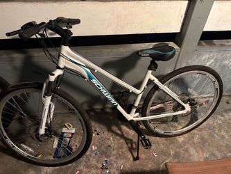 Schwinn adult bicycle