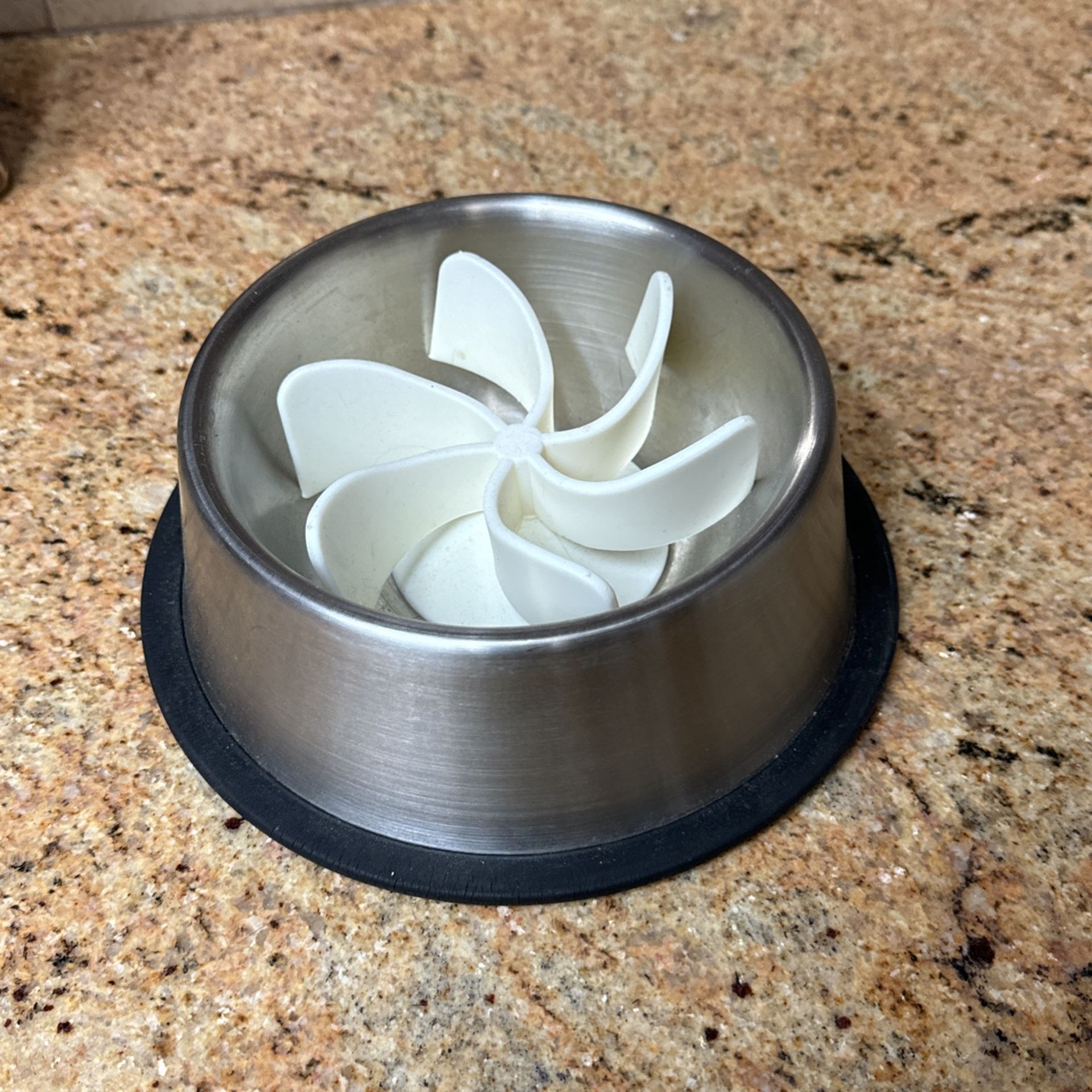 Dog Bowl 